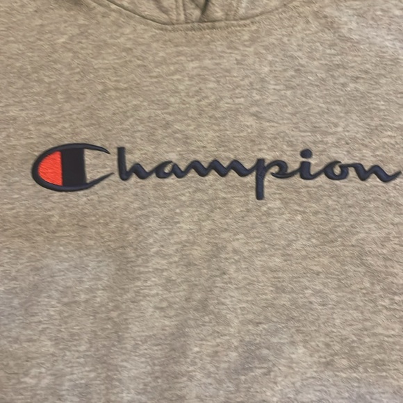 Gray Champion Hoodie - Picture 5 of 8